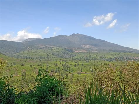 Peran Gunung dalam Ekosistem Gunung Kendang dan budaya lokal